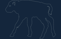 Animal Line Art Silhouette DXF File