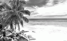 Beach View Silhouette Background screen Design CDR File