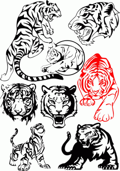 Big Tiger Vectors Pack CDR File