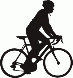 Cycle Free CDR Vectors File