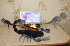 Decorative Scorpion Laser Cut DXF File