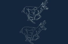 Deer Animal Line Art DXF File