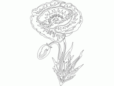 Festive Things Design 06 Free Download DXF File