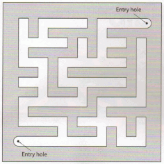 Maze Design DXF File