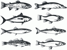 Set of Fishes Vector Art CDR File