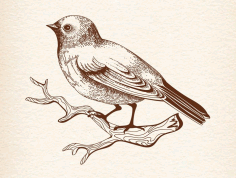 Sitting Bird Wall Art DXF File