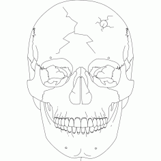 Skull Template 03 DXF File