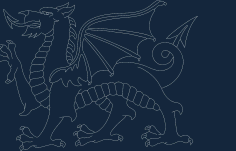 Welsh Dragon Silhouette DXF File