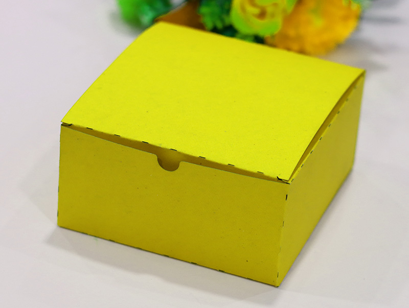 Custom Box Kraft Paper Box Carton Box Shipping Box Vector File for Laser Cutting