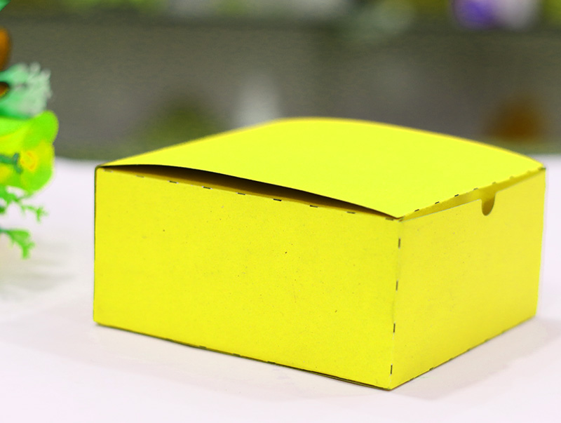 Custom Box Kraft Paper Box Carton Box Shipping Box Vector File for Laser Cutting