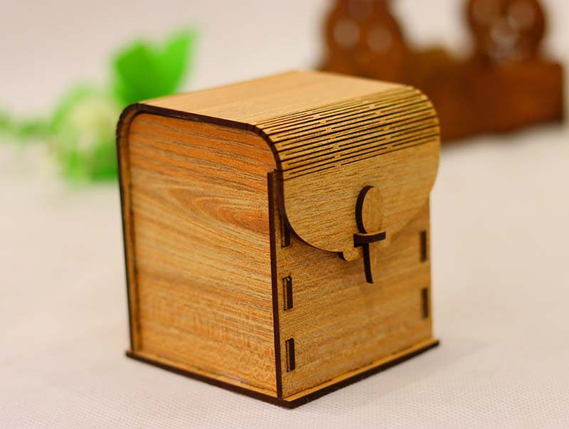 Laser Cut Box with Lid Living Pattern Wooden Box Jewellery Box 3mm Vector File