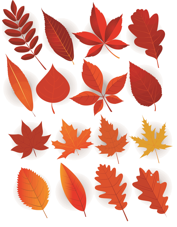 Autumnal Leaf Set CDR and Ai Vector File