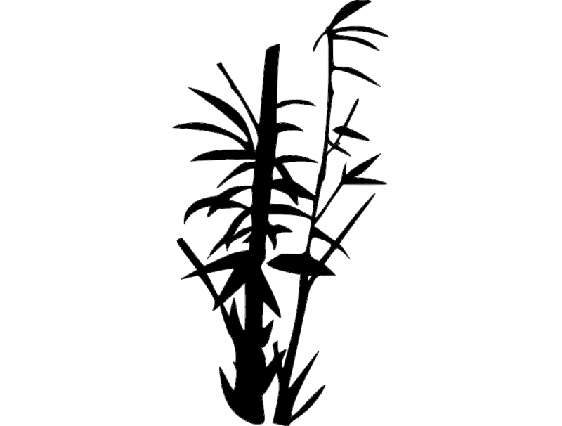 inkscape drawing with bamboo