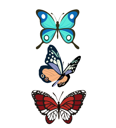 Butterflies Decor Elements Colorful Sketch Free Vector