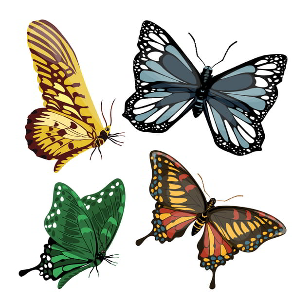 Butterflies Icons Templates Colorful Modern Shapes Sketch Free Vector
