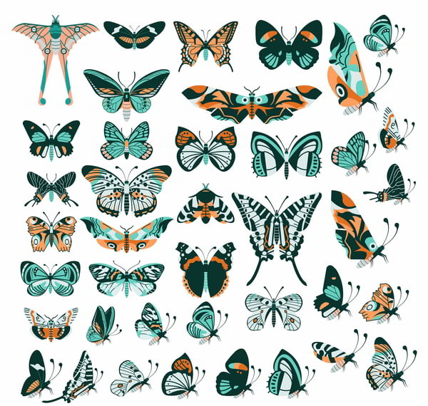 Butterflies Species Icons Collection Free Vector