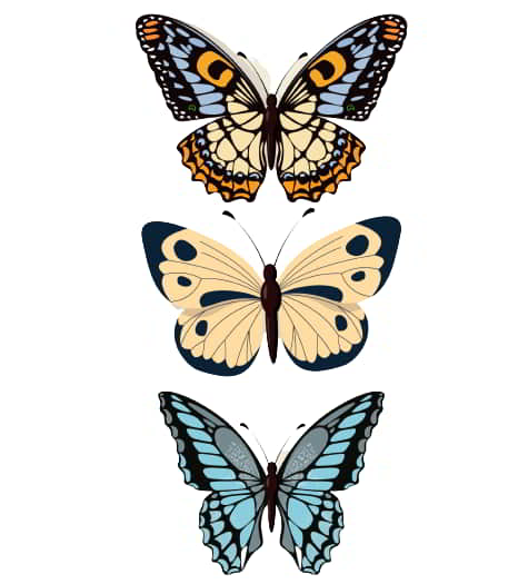 Butterfly Decor Elements Flat Colored Symmetrical Design Free Vector