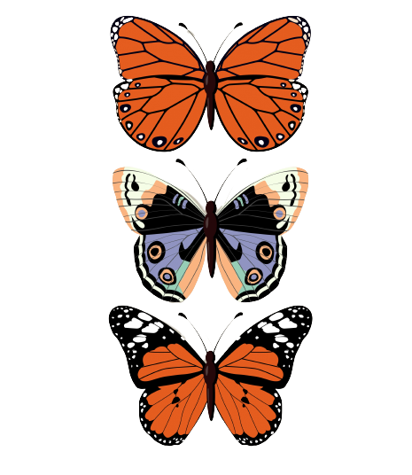Butterfly Icons Colored Flat Sketch Symmetric Decor Free Vector
