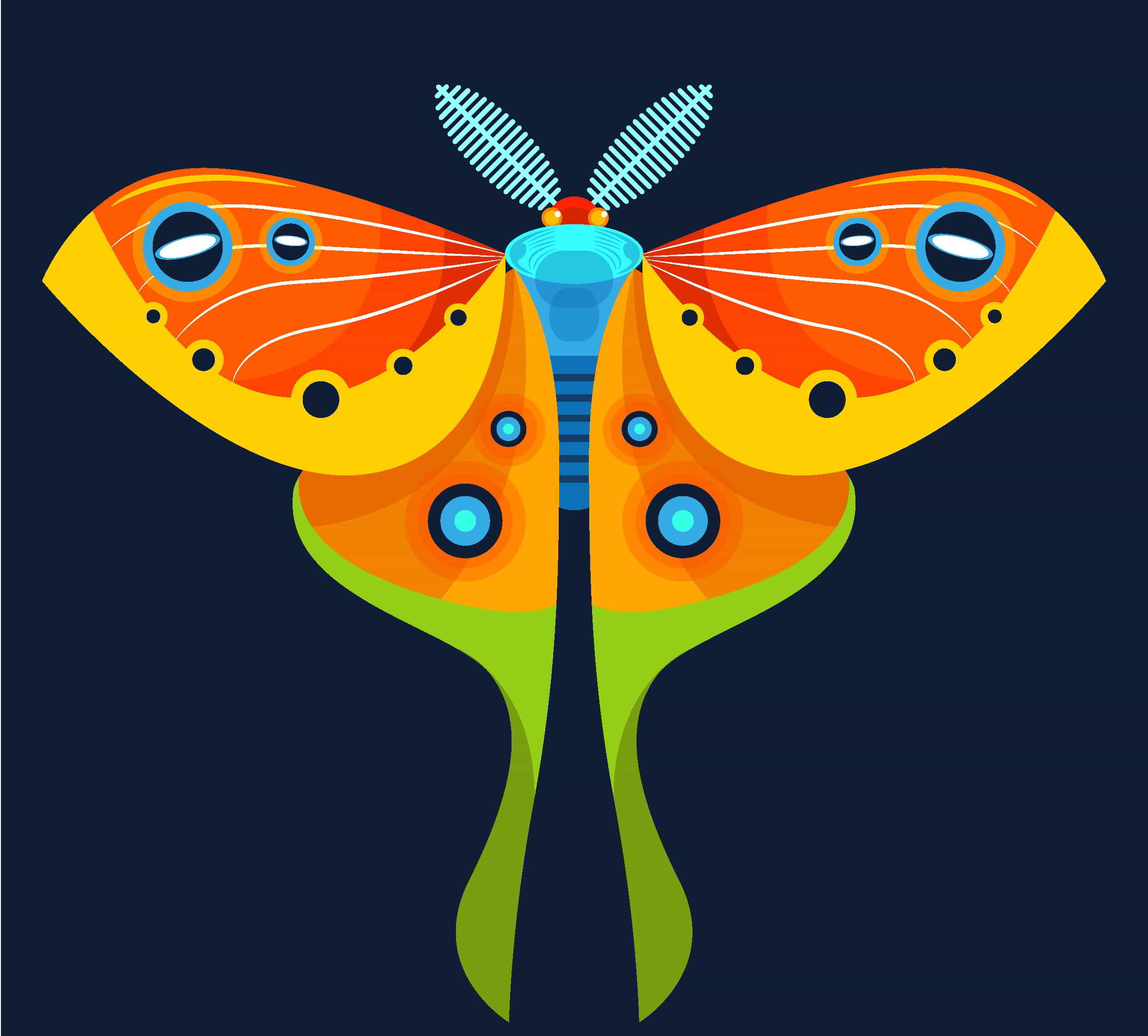 Butterfly Insect Icon Free Vector