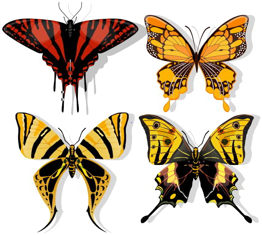 Butterfly Set Icons Dark Colorful Flat Sketch Free Vector