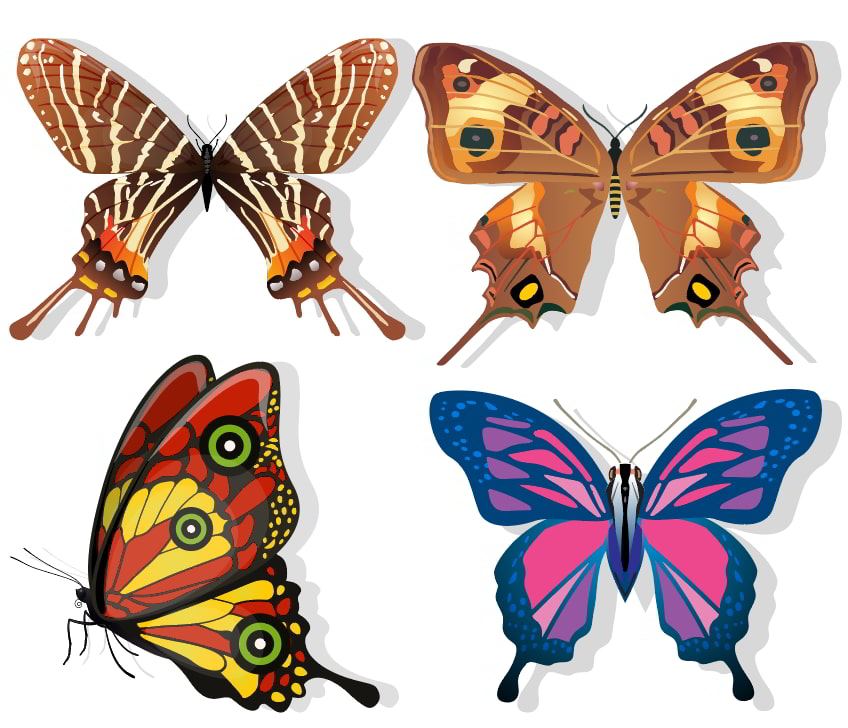 Butterfly Species Icons Dark Colorful Sketch Free Vector