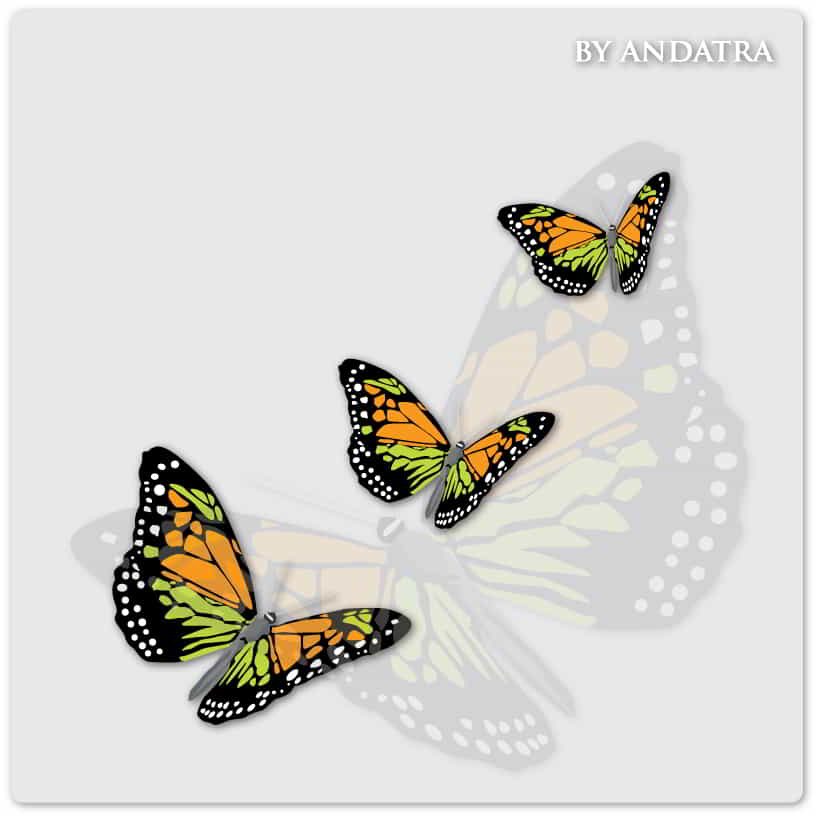 Charming Butterflies with Butterfly Background Free Vector File