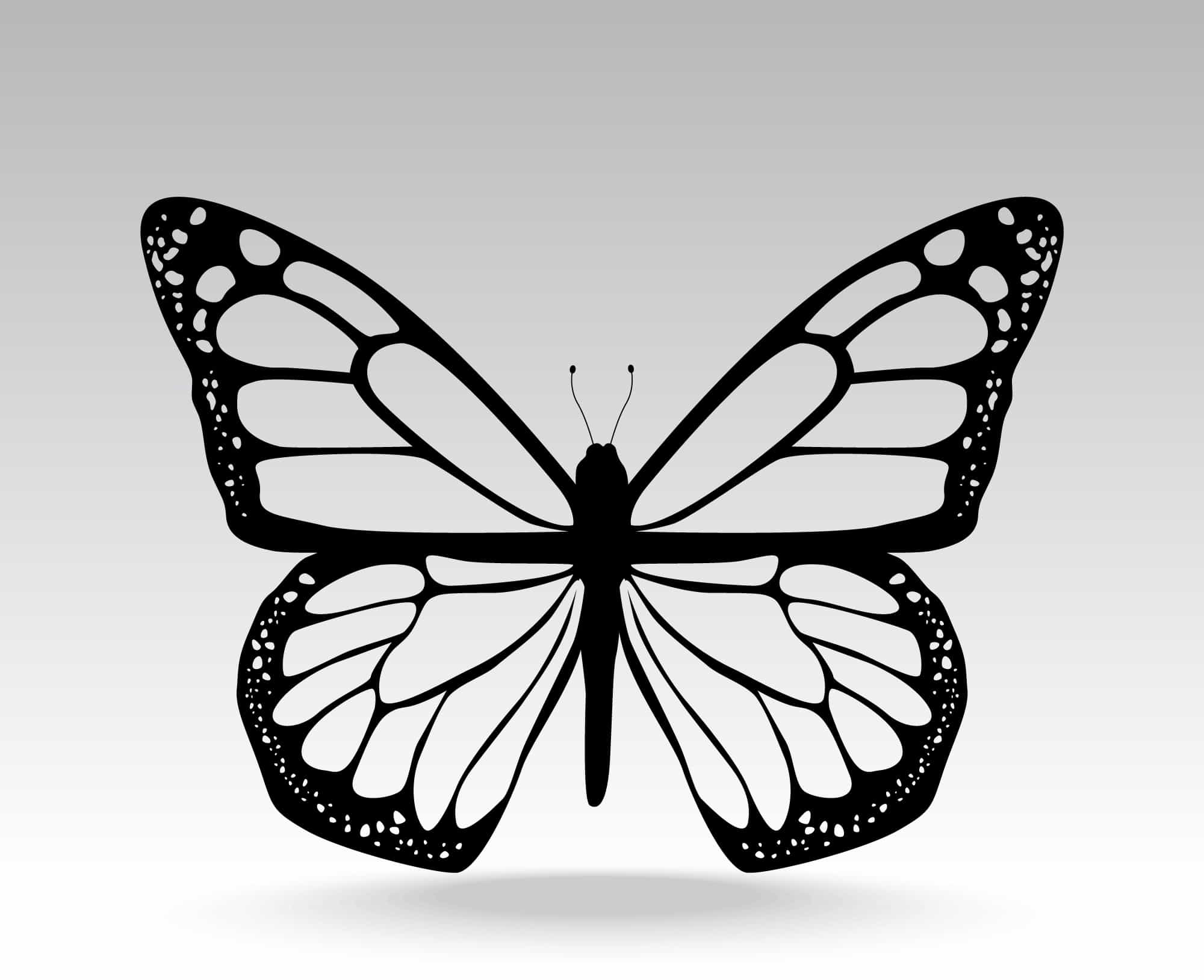 Classic Isolated Butterfly Illustration Free Vector