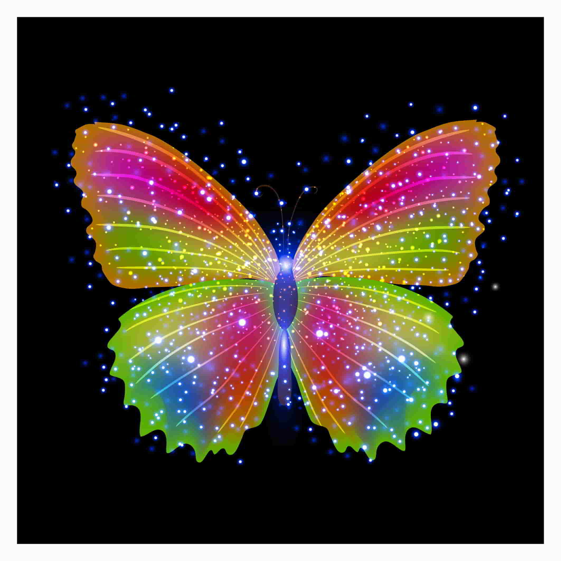Красивая Радужная бабочка
