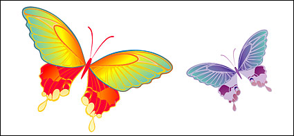 Colorful Butterfly Elements Vector Free Vector