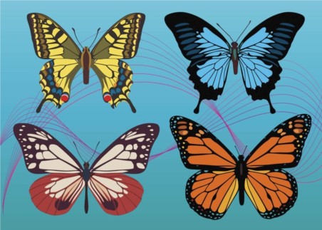 Colorful Butterfly Vector Graphics Free Vector
