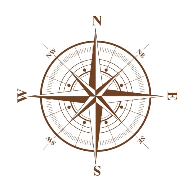 Compass Sample Free Vector