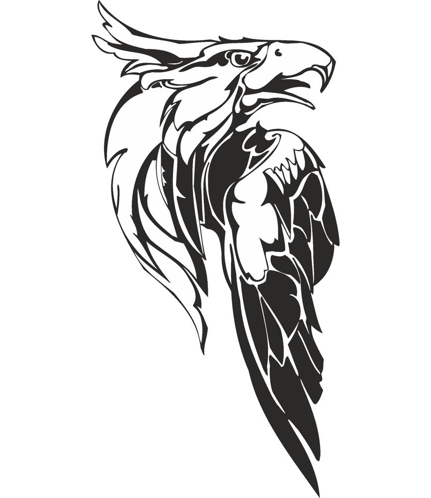 Eagle Predatory Bird Illustration Vector Free Download CDR File