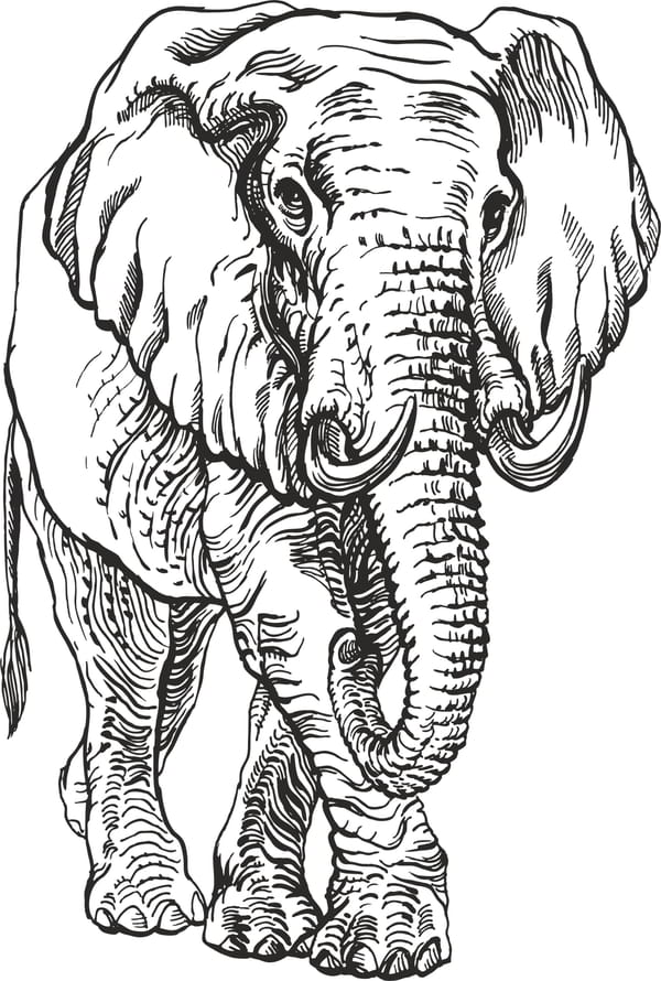 Elephant Engr Vector Free CDR File