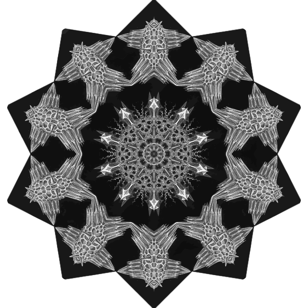 Floral Acanthophracta Snowflake Vector SVG File