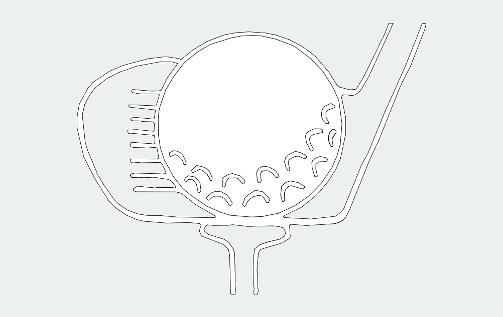 Golf Ball Free DXF Vectors File