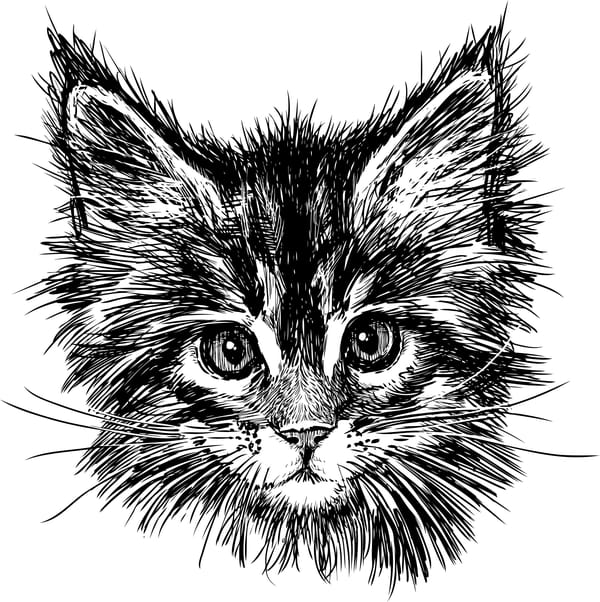 Hand Drawn Cat Free CDR Vectors File