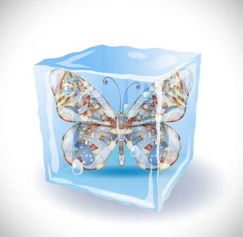 Ice Cube with Butterfly Free Vector