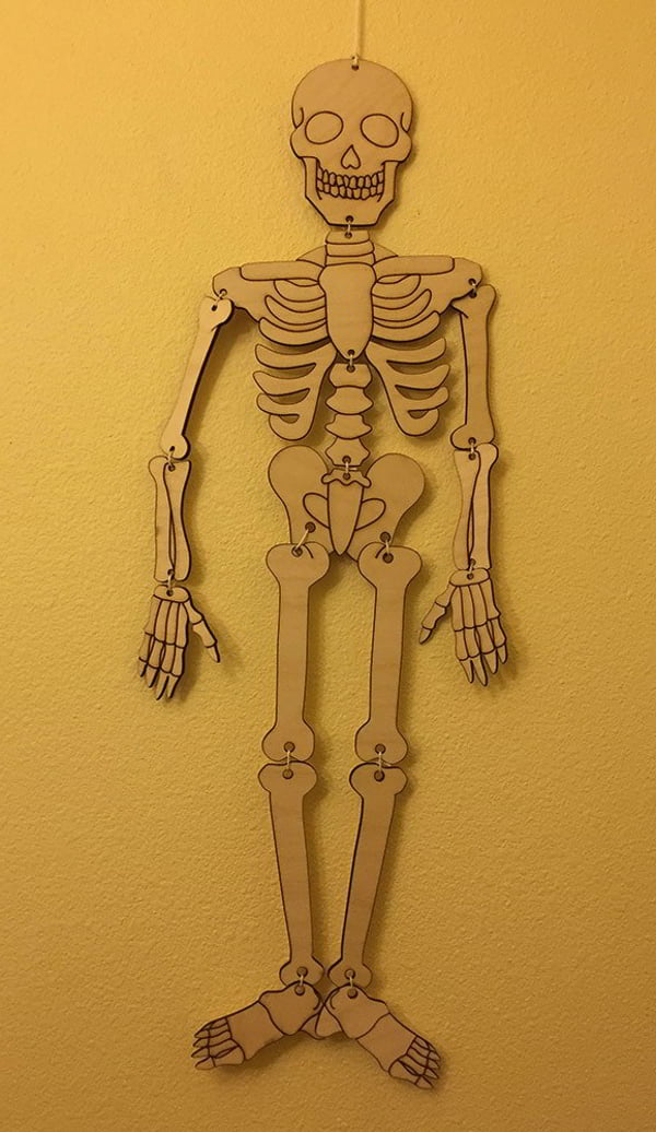 Laser Cut 3D Puzzle Human Skeleton CDR File