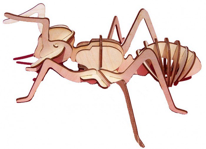 Laser Cut Insect Ant Free CDR Vectors File