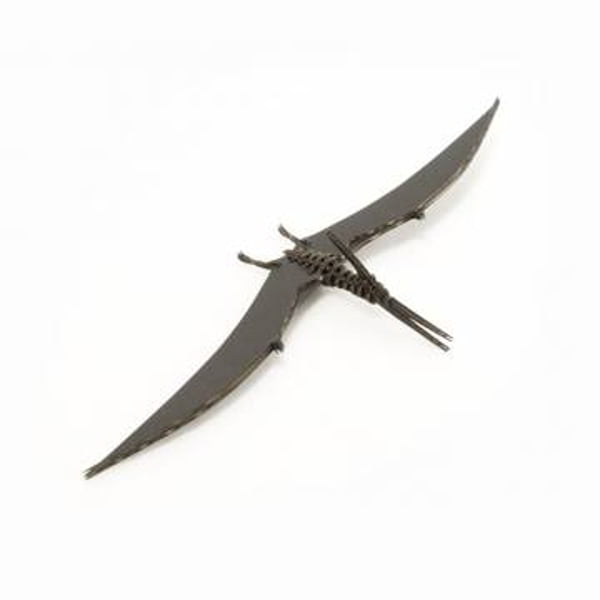 Laser Cut Pteranodon 3D Puzzle Wooden Model CDR File | Vectors File