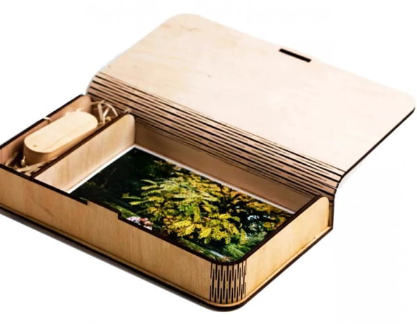 Laser Cut Storage Box with Lid CDR File
