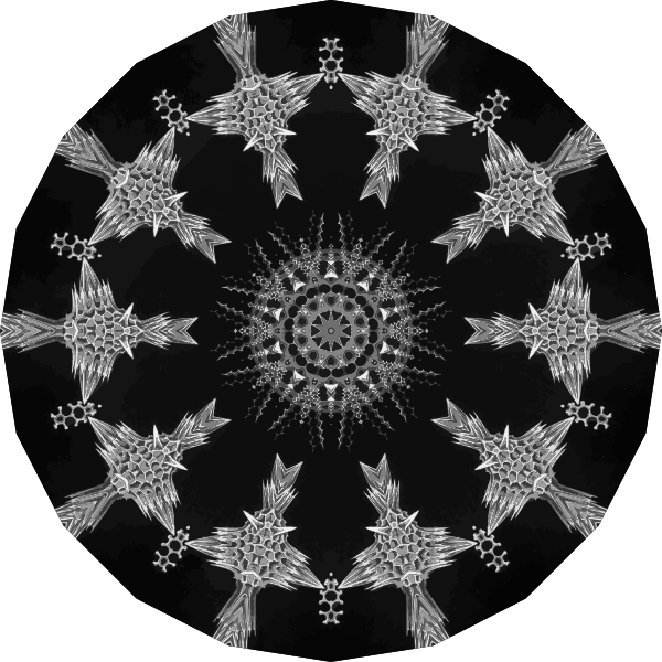 Round Acanthophracta Snowflake Vector SVG File