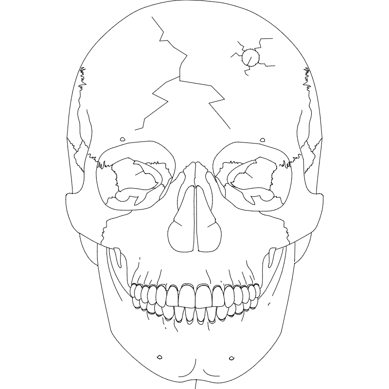 Skull Template 03 DXF File