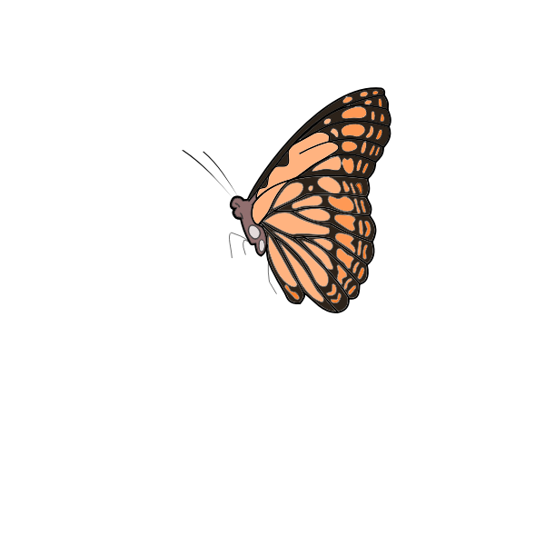 Small Butterfly Vector SVG File