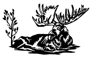Zoo Animal Moose Scene Free Vector DXF File