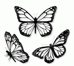 3 Realistic Butterfly Illustration Set Free Vector