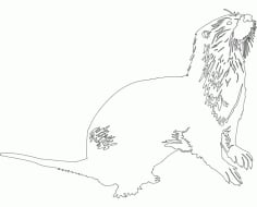 Animal Line Art DXF File