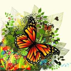 Beautiful Butterfly Design Free Vector