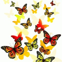 Beautiful Butterfly Set Template Free Vector