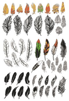 Bird Feathers Set CDR File